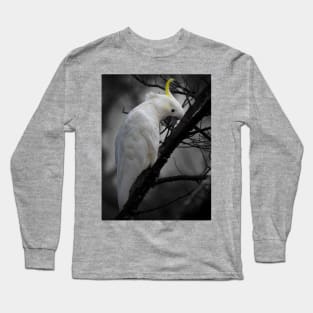 Sulphur-crested Cockatoo_3798A Long Sleeve T-Shirt